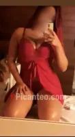 Novedad latina